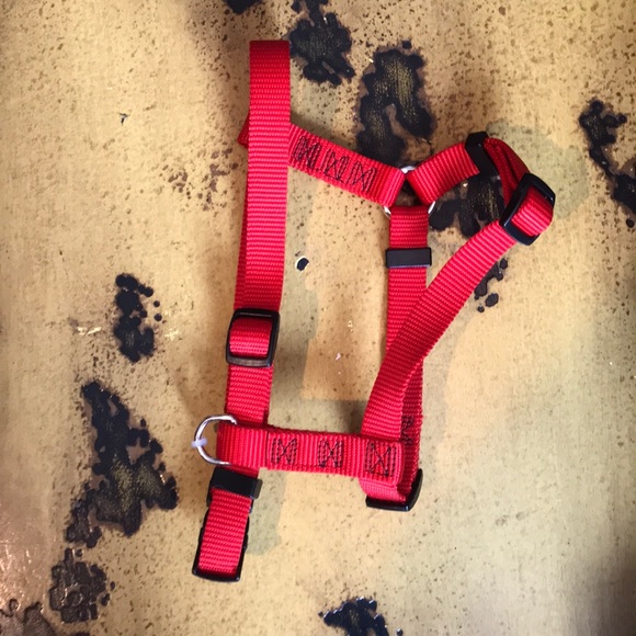Red Adjustable Dog Harness NWOT - Picture 3 of 3